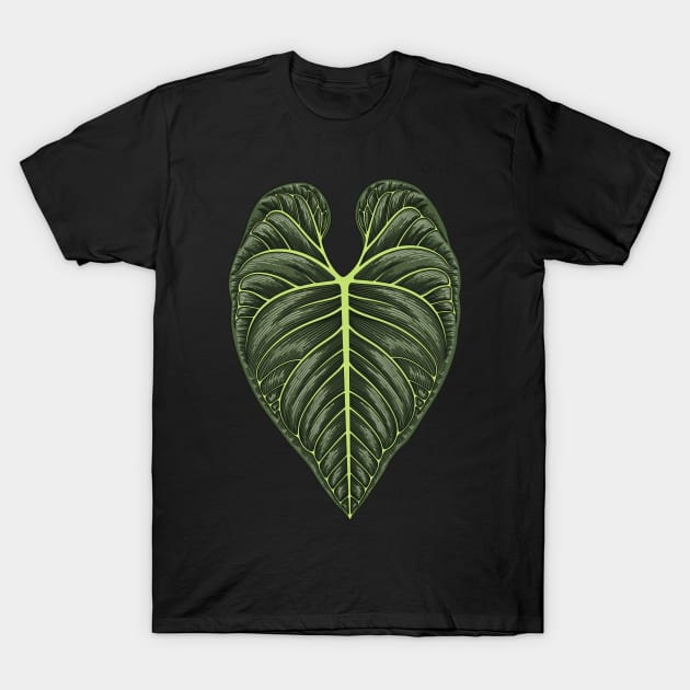 Anthurium Regale Big Leaf T-Shirt by gronly